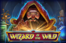 Wizard Of The Wild