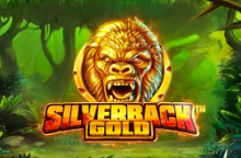 Silverback Gold